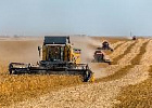 Ускользающий урожай: почему Россия может недосчитаться зерна в 2025 году Ускользающий урожай: почему Россия может недосчитаться зерна в 2025 году